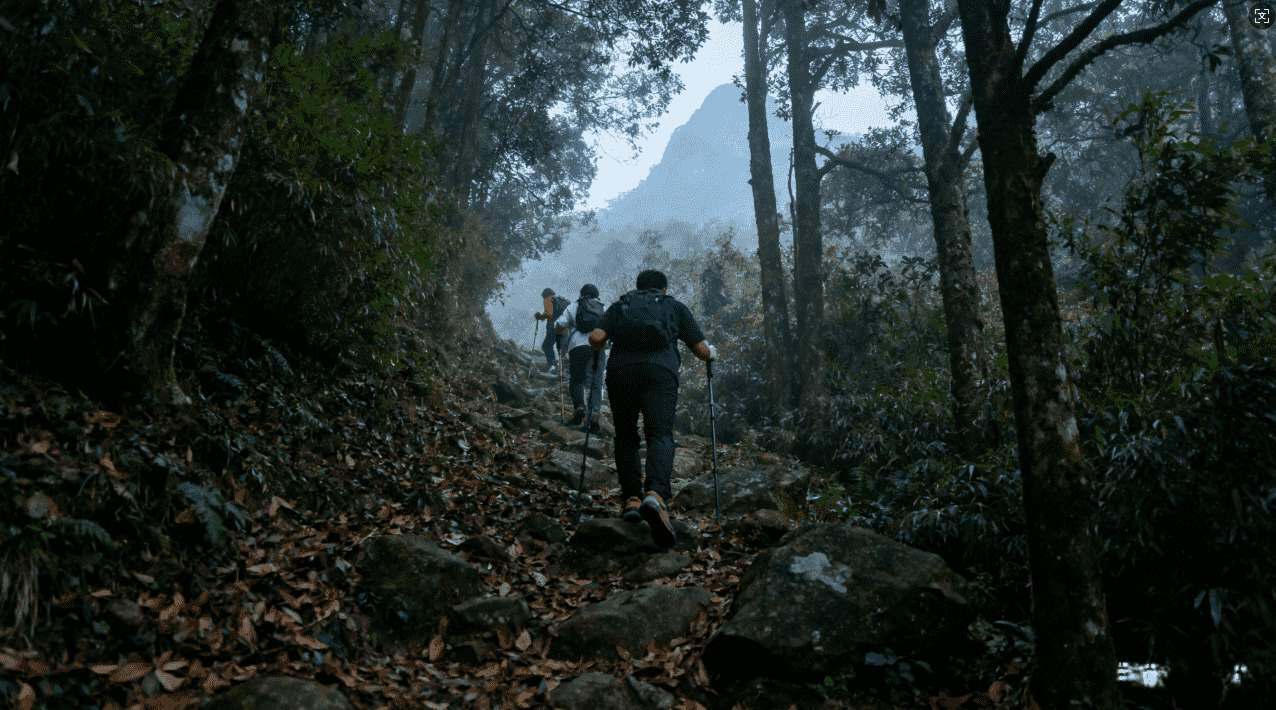影响手机VPN加速器稳定运行的主要因素